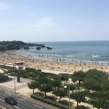 Studio 3 Personnes Victoria Surf Piscine Grande Plage Μπιαρίτζ