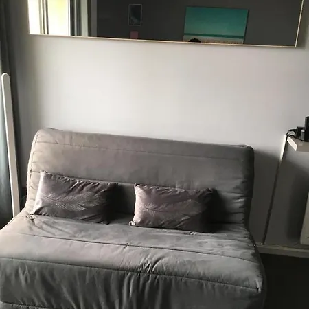 Studio 3 Personnes Victoria Surf Piscine Grande Plage Μπιαρίτζ